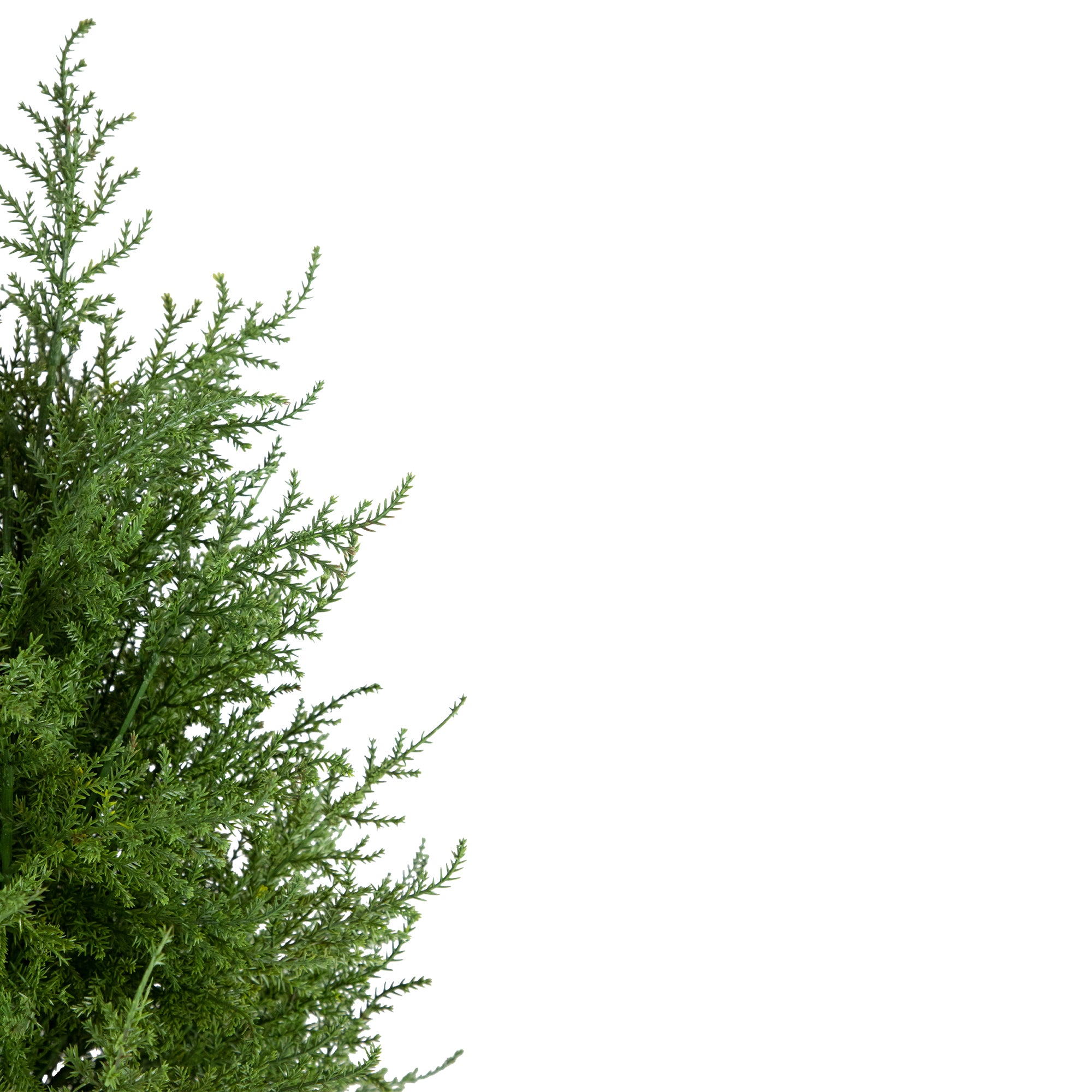  3' Artificial Cedar Pine Petite Arborvitae Tree in Round Pot Unlit - Green - Bonton