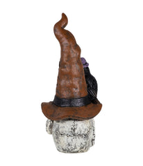 Skull in Witches Hat with Crow Halloween Decoration