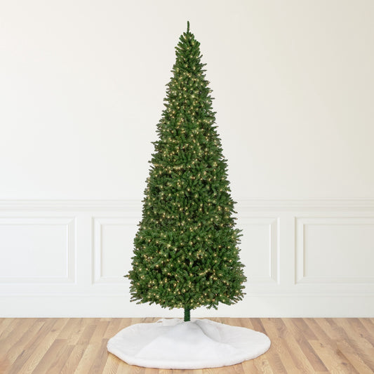 15' Pre-Lit Genoa Fraser Fir Slim Artificial Christmas Tree - Clear Lights