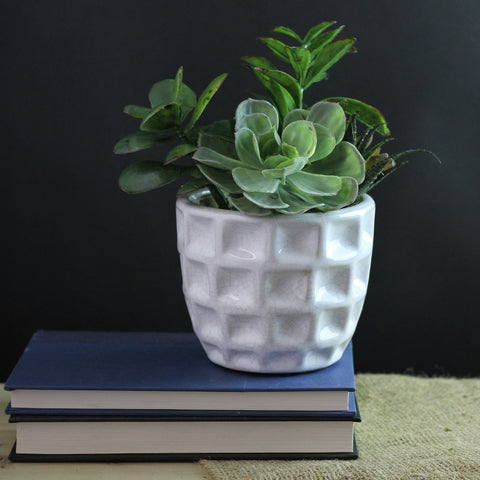 9.5" Green and White Artificial Mixed Spring Potted Succulent Plant