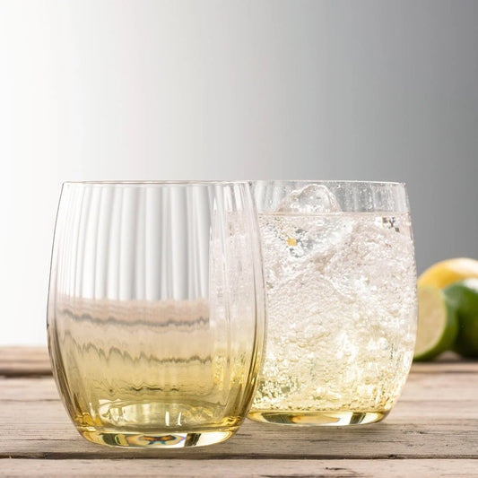 Erne Colour Tumbler Glasses Set of 2