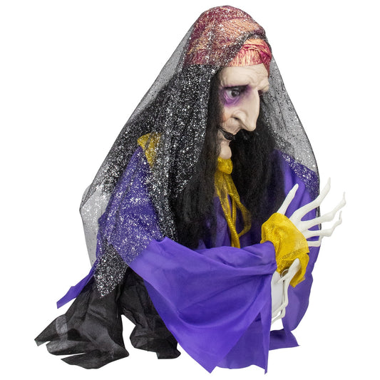 Lighted and Animated Fortune Teller Halloween Decoration - 20" - Multicolor Lights