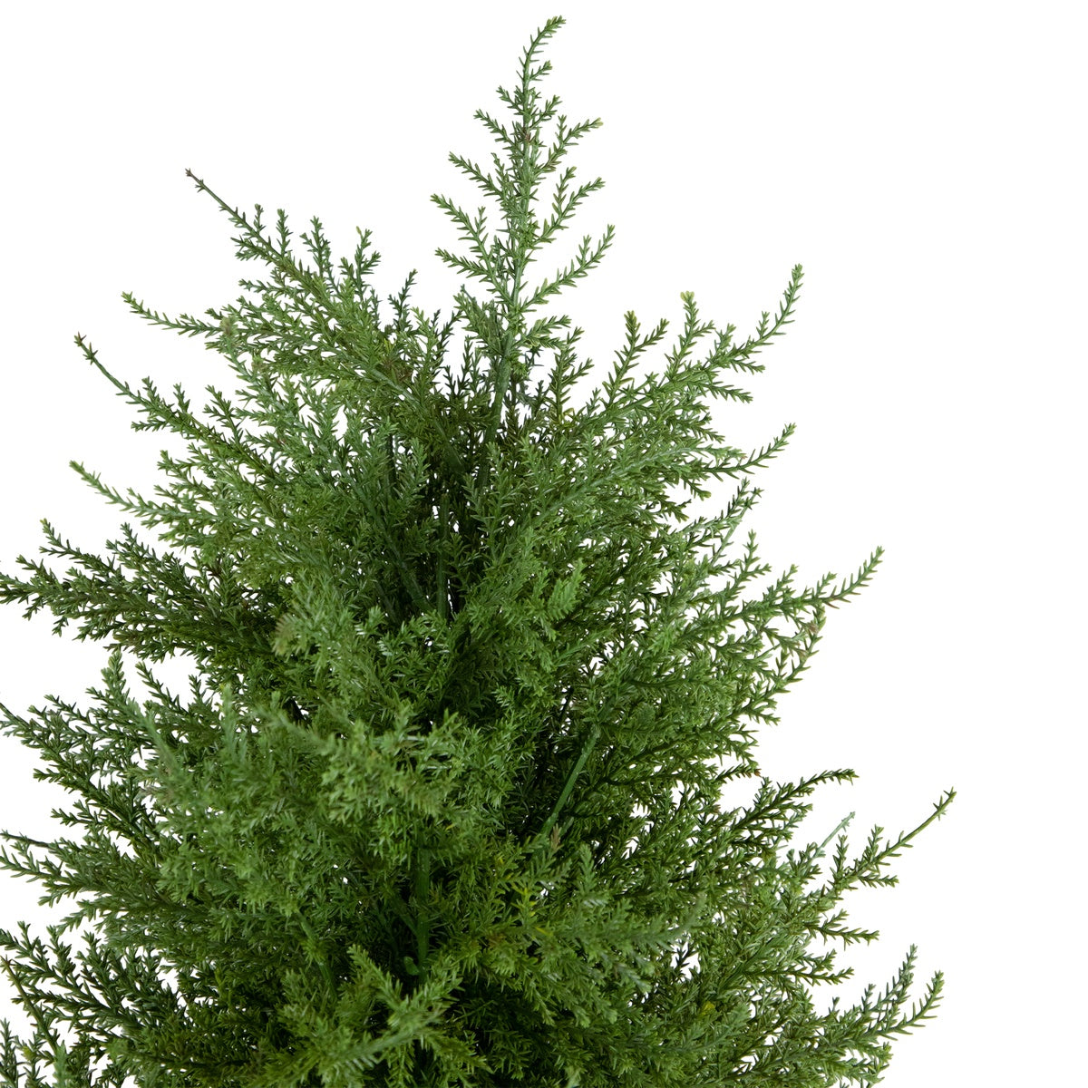  Northlight 3' Artificial Cedar Pine Petite Arborvitae Tree in Round Pot  Unlit - Default Title - Bonton