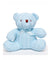 Baby Boys and Baby Girls Small Cable Knit Snuggle Bear Blue