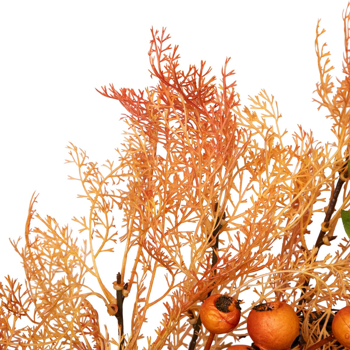  Northlight Yellow and Orange Berry and Leaves Fall Harvest Artificial Wreath - 24-Inch  Unlit - Default Title - Bonton