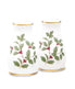  Noritake Holly & Berry Gold Salt & Pepper - Multi - Bonton