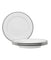 Regina Platinum Set of 4 Salad Plates