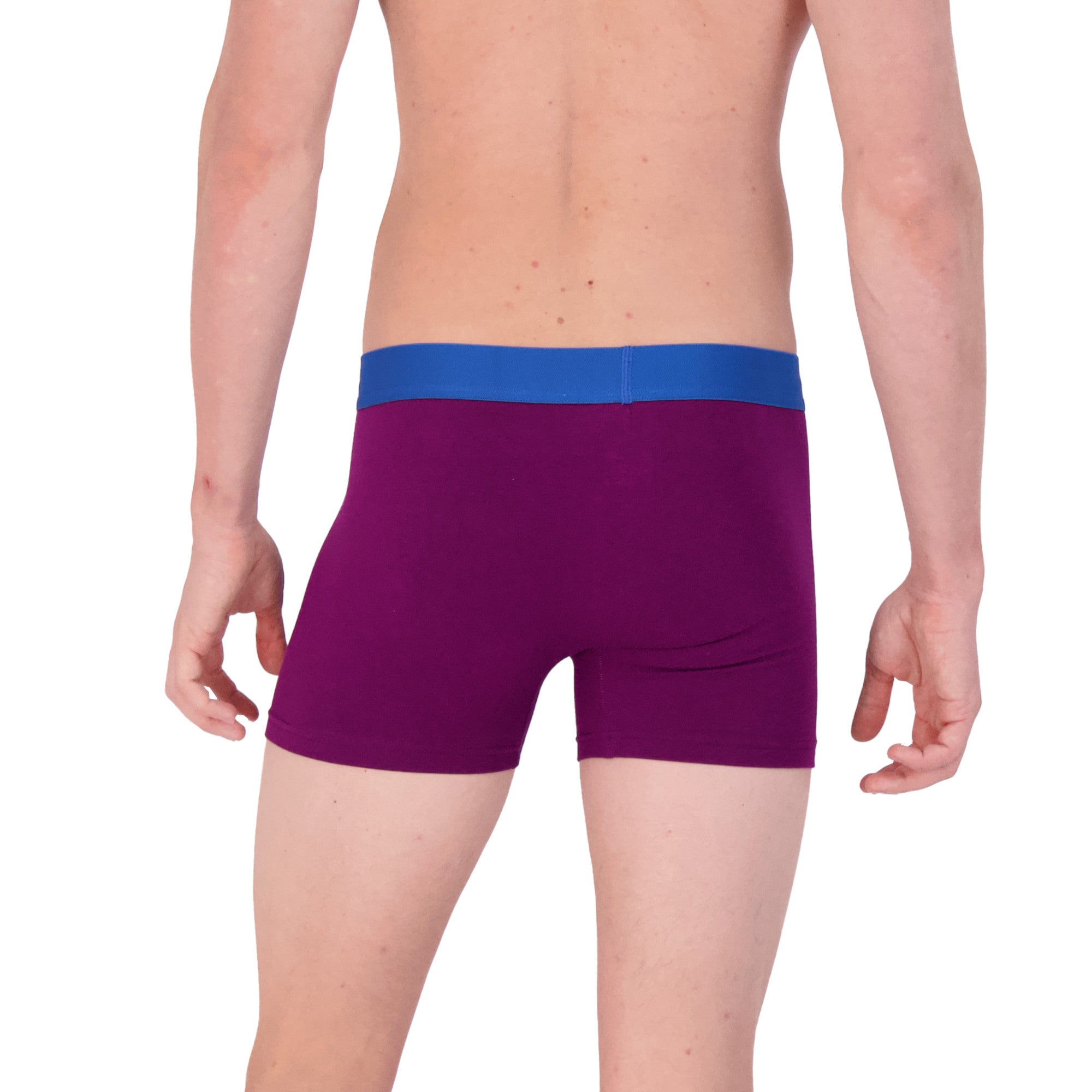  Wood Underwear Boxer Brief w/Fly Premium Fit 3