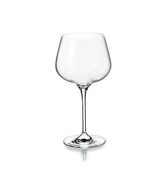 Aroma Water Goblets Set of 4
