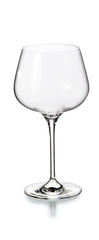 Aroma Water Goblets Set of 4