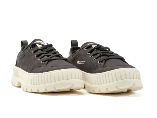 PALLASHOCK LO ORGANIC 2