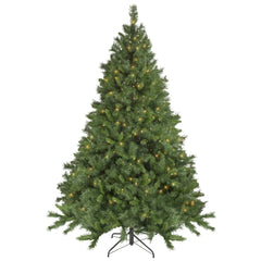 Pre-Lit Full Chatham Pine Artificial Christmas Tree - 6.5' - Clear Lights