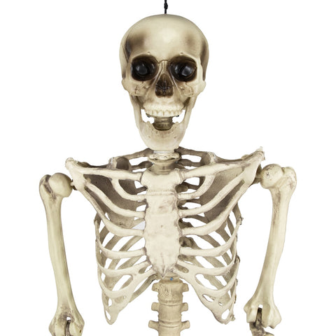 Life Size Skeleton Hanging Halloween Decoration - 5'