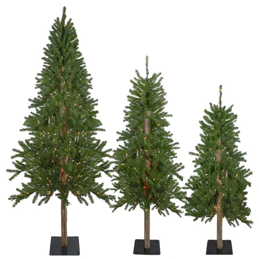 Pre-Lit Slim Alpine Artificial Christmas Trees - 6' - Clear Lights - Set of 3