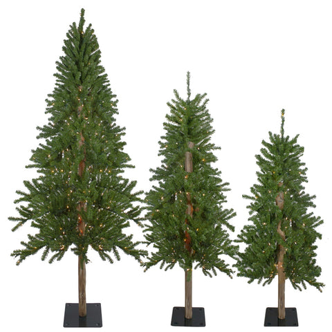 Pre-Lit Slim Alpine Artificial Christmas Trees - 6' - Clear Lights - Set of 3