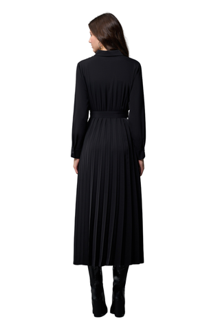 Shirt Dress With Pleated Skirt - Skirt