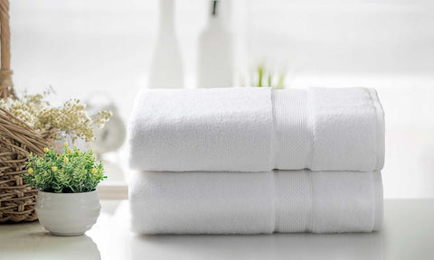 Kathy Ireland 2 Piece Zero Twist Cotton Plush Bath Sheet Set