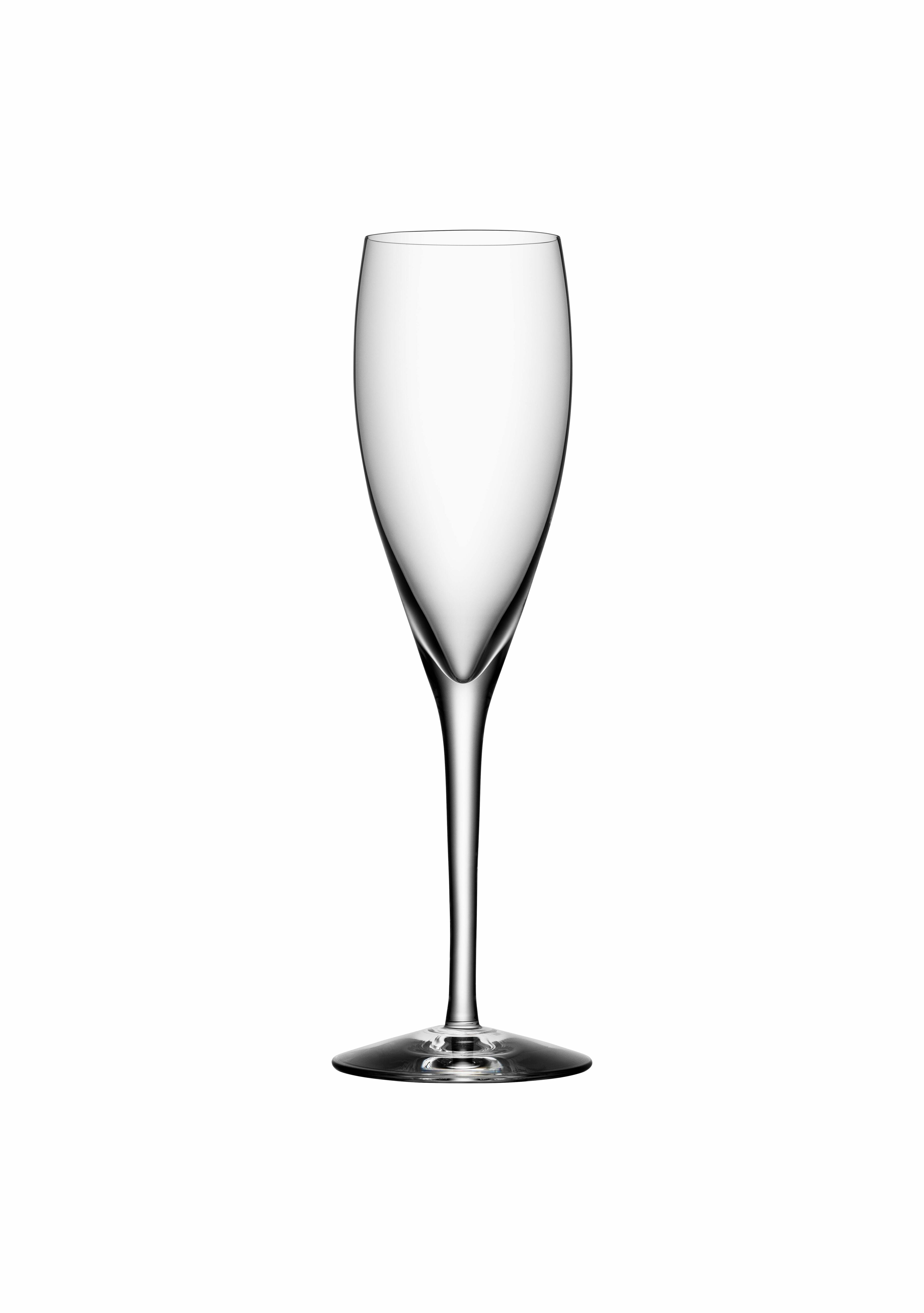  Orrefors More Champagne Glass Set of 4 - Clear - Bonton