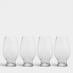 Beer India Pale Ale 4 Piece Set