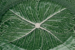 Cabbage Large Oval Platter