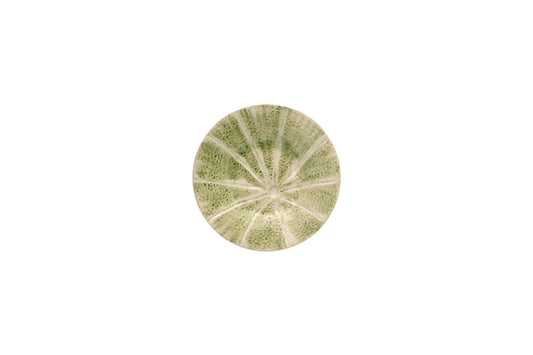 Melon Plates Set of 4