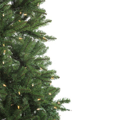 9' Pre-Lit Instant Connect Neola Fraser Fir Artificial Christmas Tree - Dual LED Lights