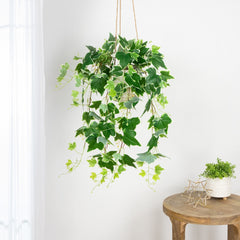 30" Variegated Ivy Artificial Hanging Floral Bush