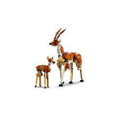 LEGO® Creator Wild Safari Animals 3in1 Set 31150