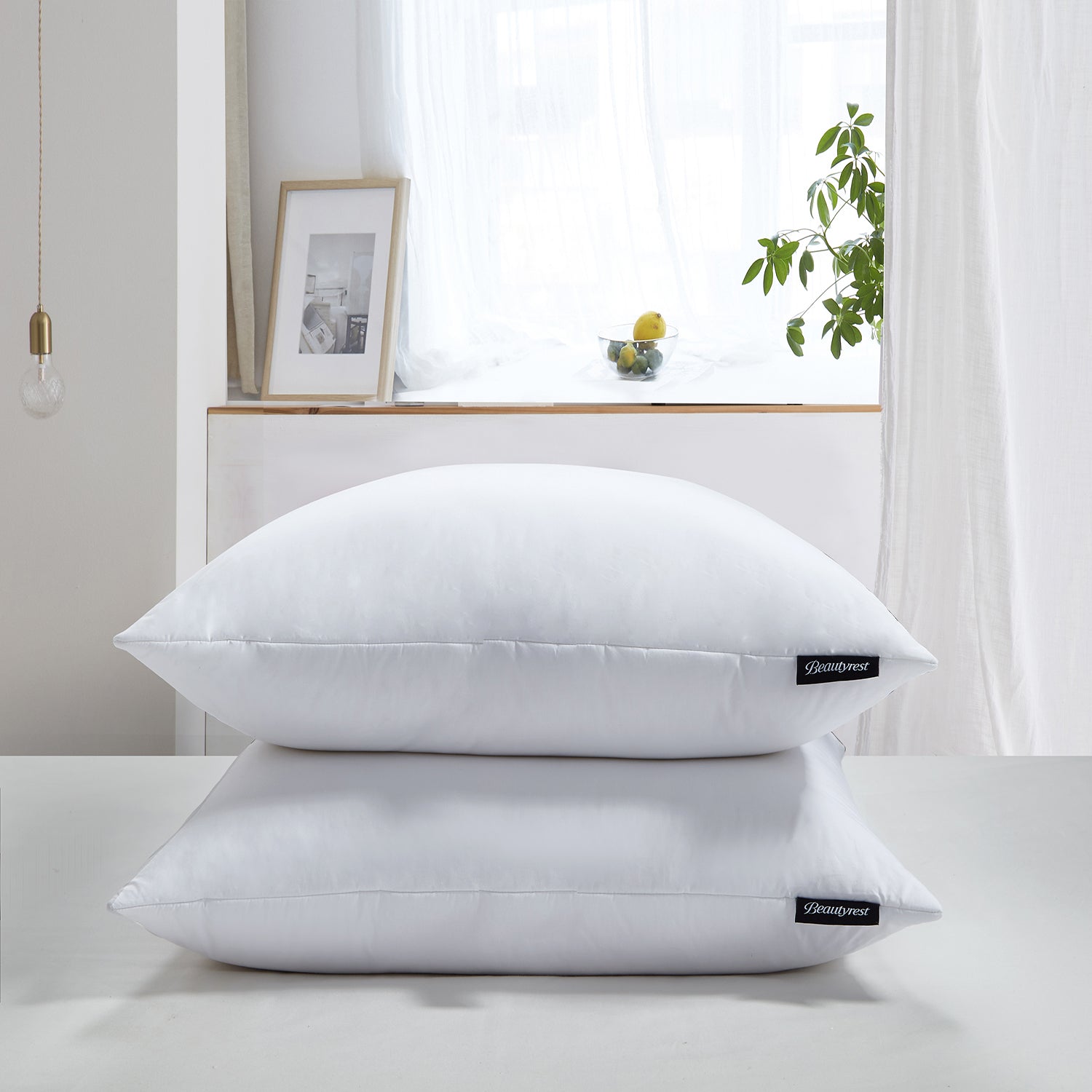  Beautyrest Euro Square Firm Pillow Set of 2 - White - Bonton