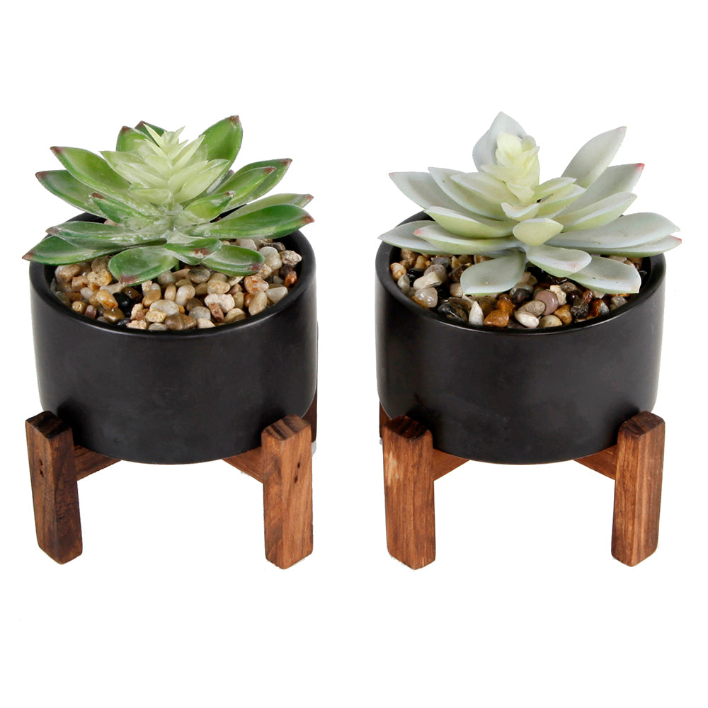  Flora Bunda Mini Black Ceramic Pot Set On Wood Stand - Black - Bonton