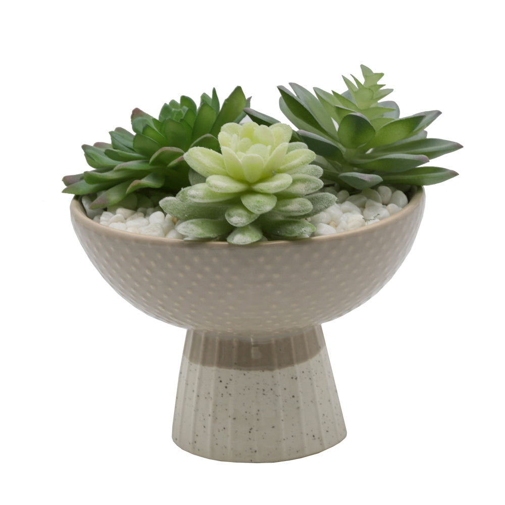  Flora Bunda Succulent Mix In Two Tone Ceramic Planter - Gray/Beige - Bonton