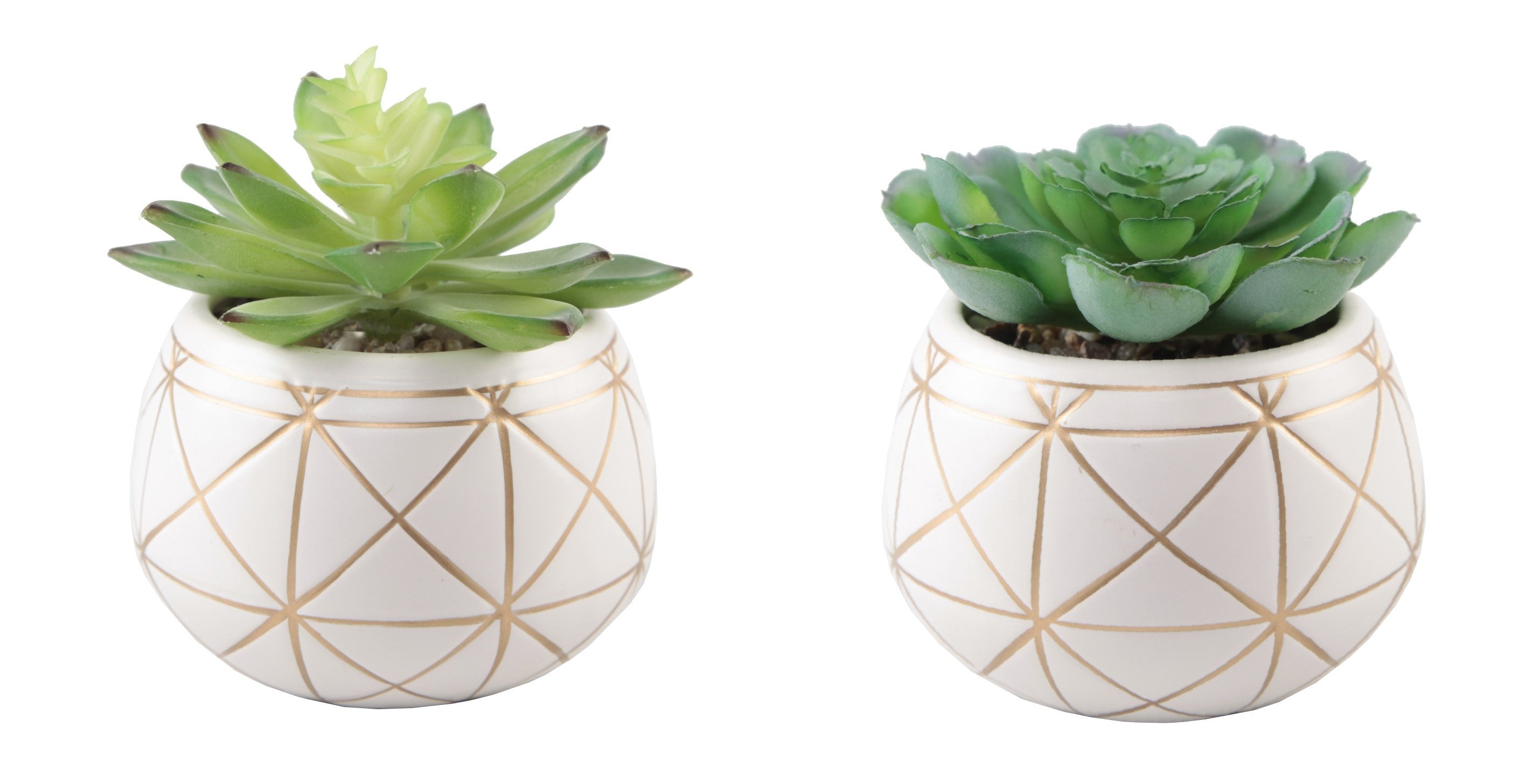  Flora Bunda Set of Rounded Ceramic Planters - White/Gold - Bonton