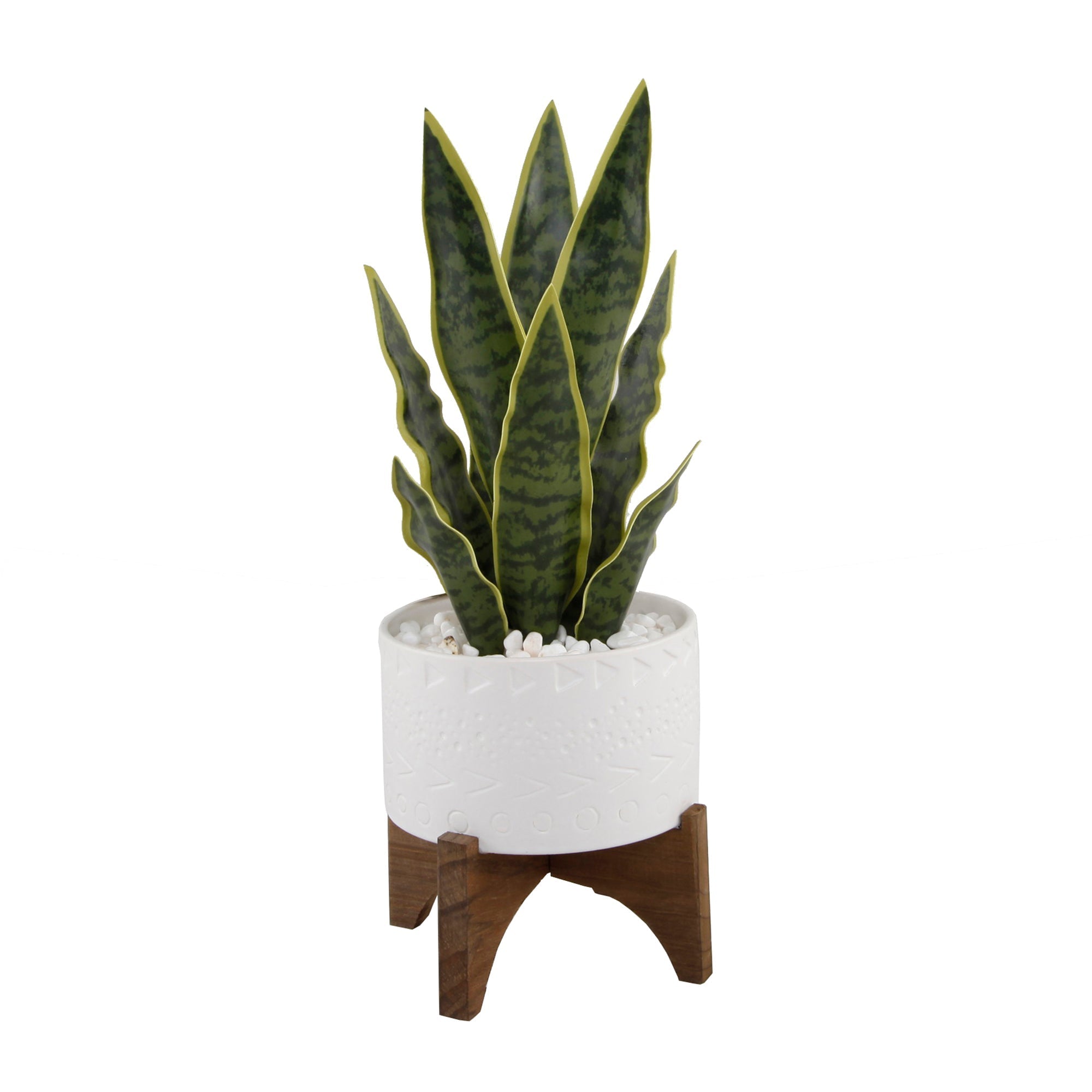  Flora Bunda Snake Plant In Triangle Edged Ceramic Planter On Stand - White - Bonton