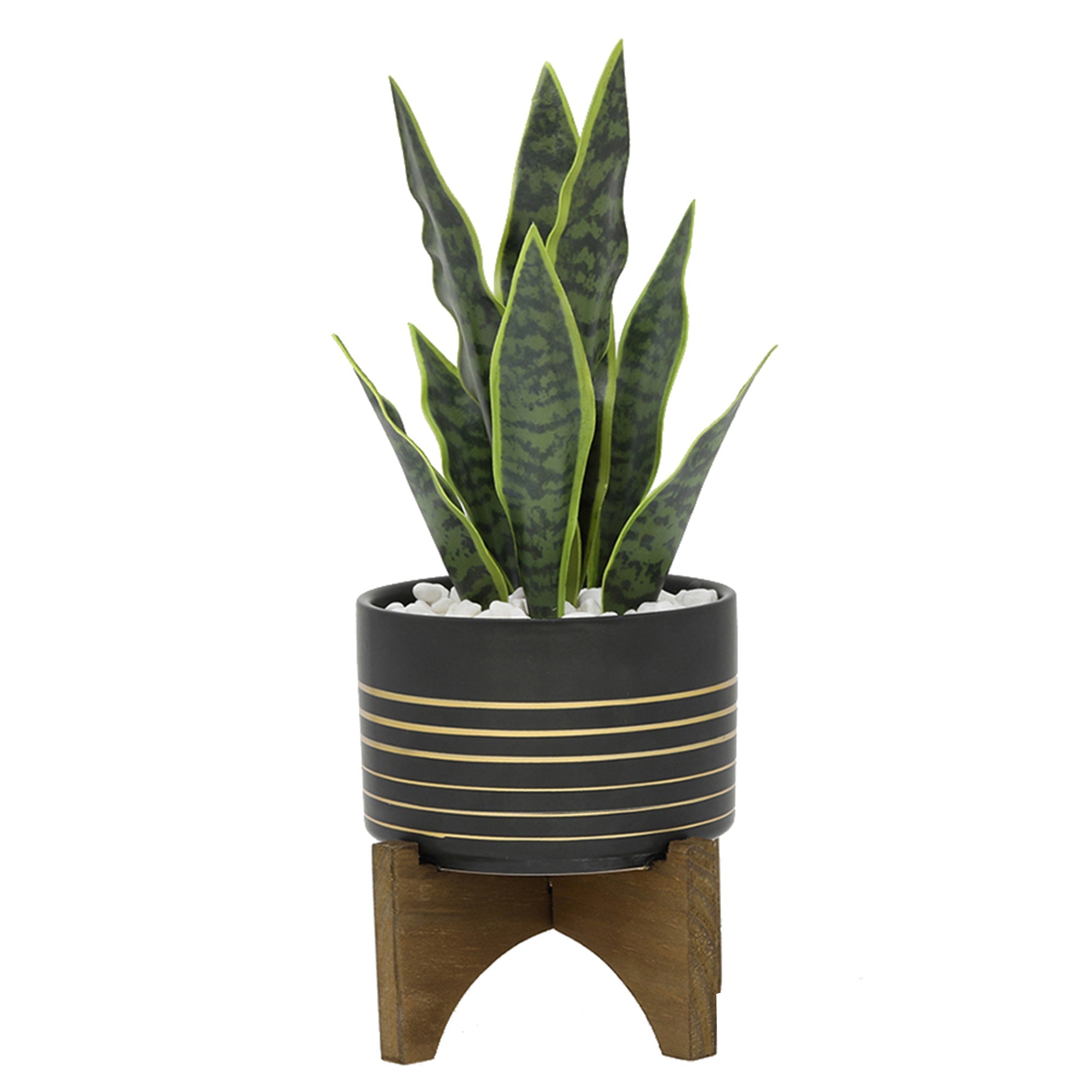  Flora Bunda Snake Plant in Black Planter on Wood Stand - Black/White - Bonton