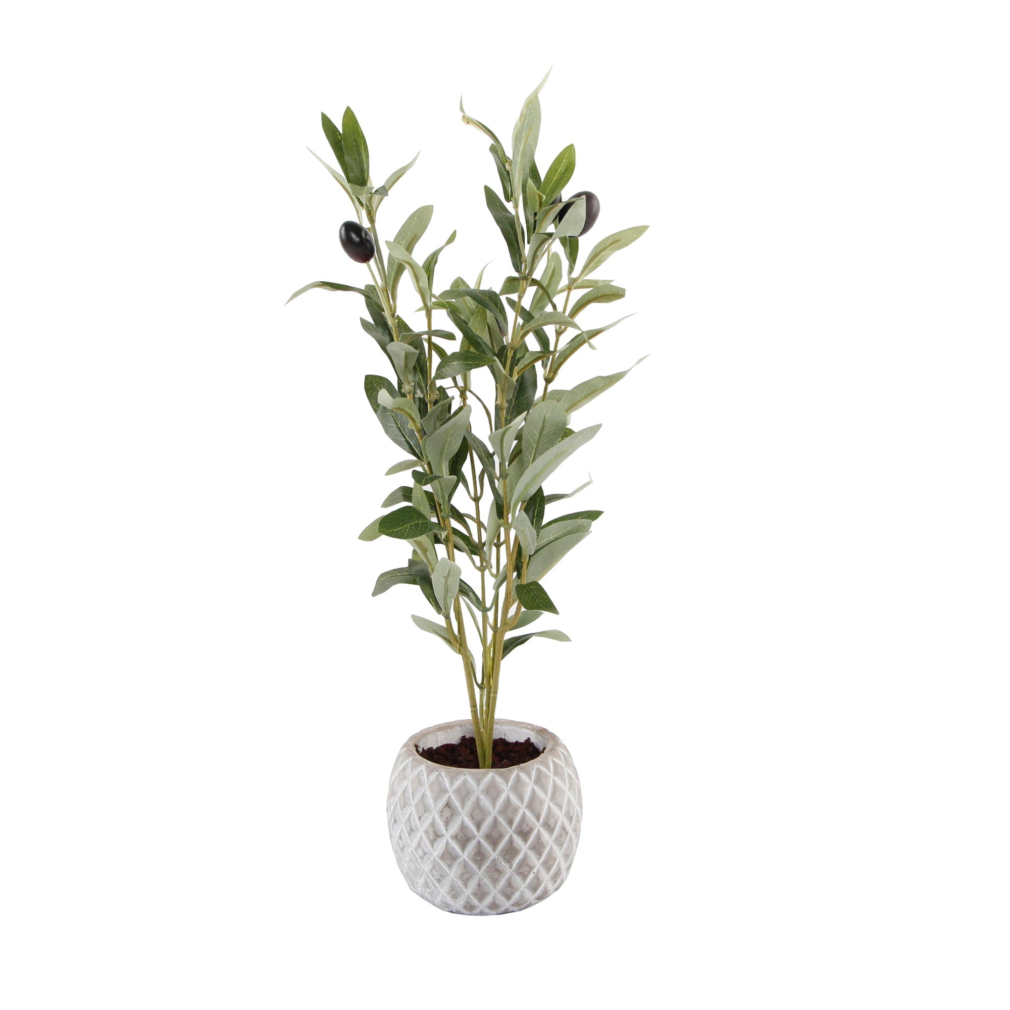  Flora Bunda Olive Branch In Diamond Weave Light Grey Cement Pot - Gray - Bonton