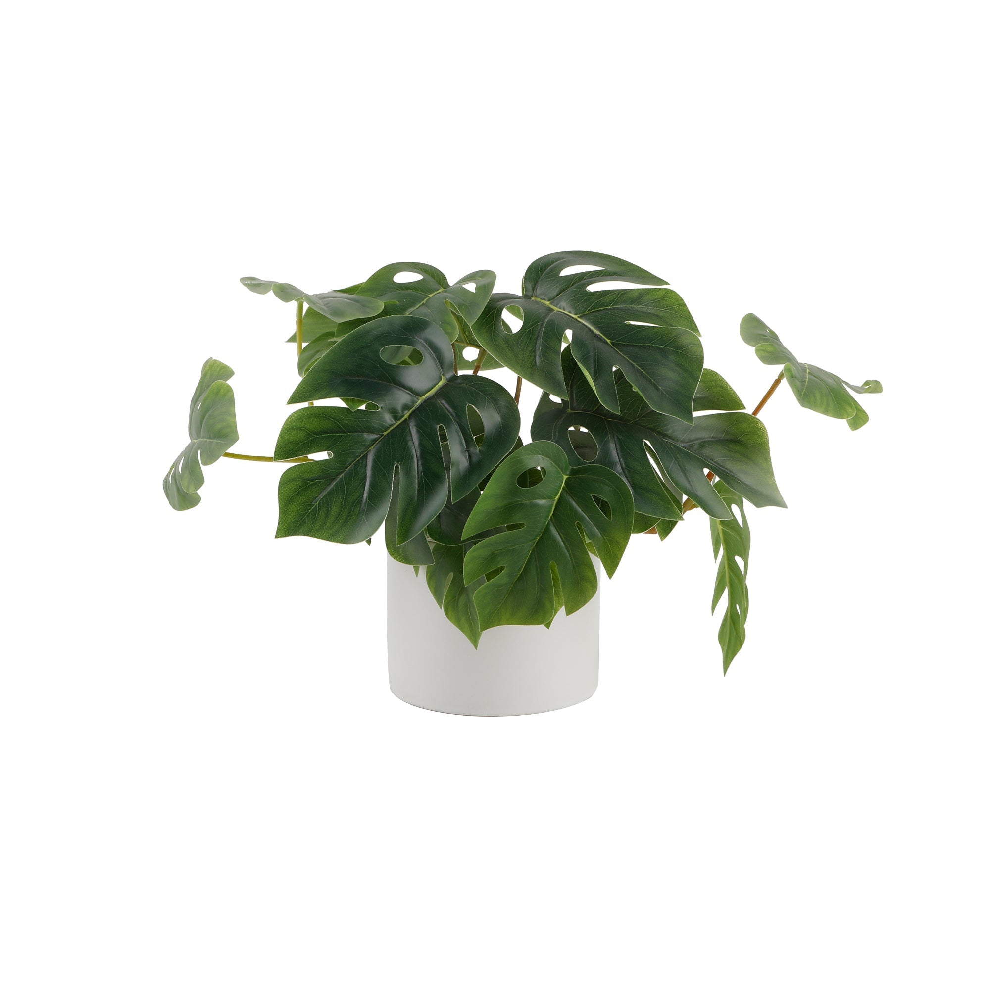  Flora Bunda Ceramic Pot Featuring a Trailing Split Leaf - White/Green - Bonton