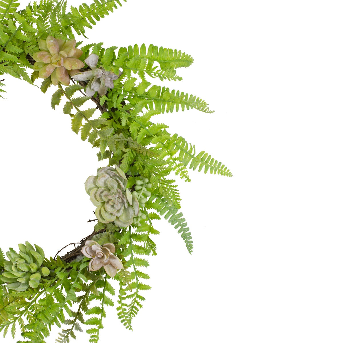  Northlight Succulents and Foliage Artificial Spring Twig Wreath  Green - 22-Inch - Default Title - Bonton
