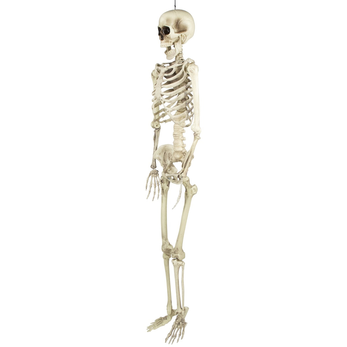  Northlight Life Size Skeleton Hanging Halloween Decoration - 5' - Default Title - Bonton