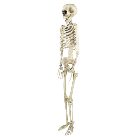 Life Size Skeleton Hanging Halloween Decoration - 5'