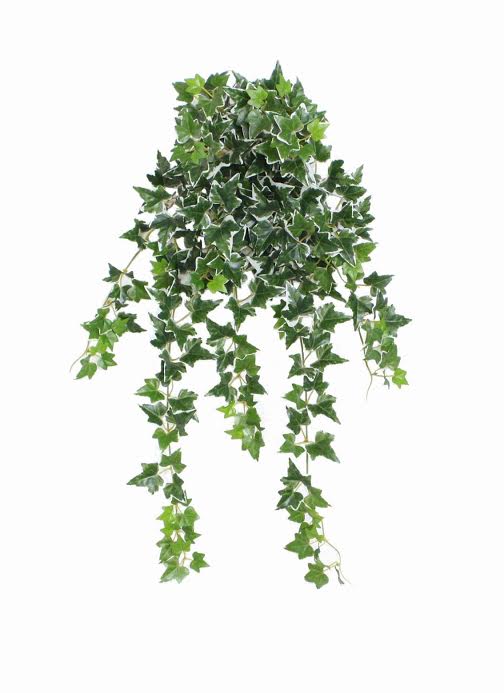 Ivy Spring Floral Hanging Bush, 23.75"