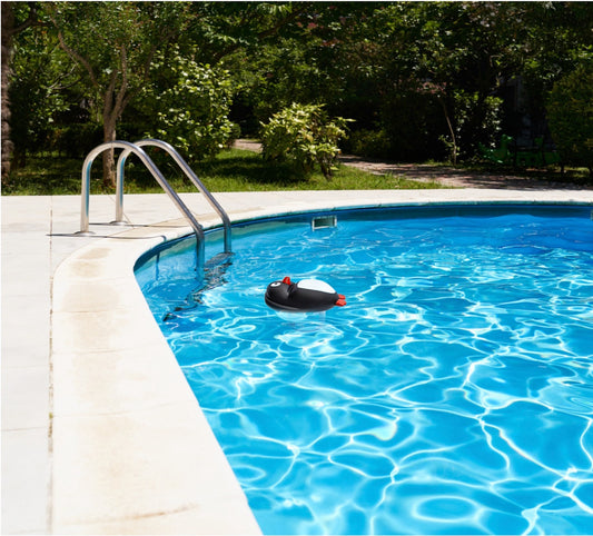 Cool Penguin Swimming Pool Chemical Dispenser - 13" - Blue and White
