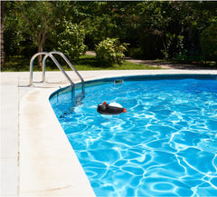 Cool Penguin Swimming Pool Chemical Dispenser - 13" - Blue and White