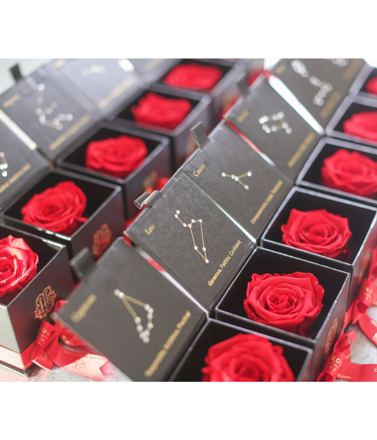  Eternal Roses Astor Gift Box - Aires - Scarlet - Bonton