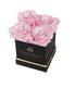  Eternal Roses Lennox Gift Box, Black - Small - Pink Martini - Bonton