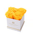  Eternal Roses Lennox Gift Box, White - Small - Friendship Yellow - Bonton