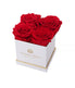  Eternal Roses Lennox Gift Box, White - Small - Scarlet - Bonton