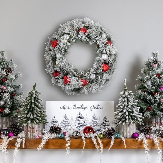 Pre-Lit Battery Operated Snowy Bristle Pine Christmas Wreath - 24" - Warm White LED Lights