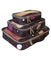 American Flyer Fireworks Packing Cubes - 3-Piece Set