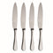 American Steak Knife Set