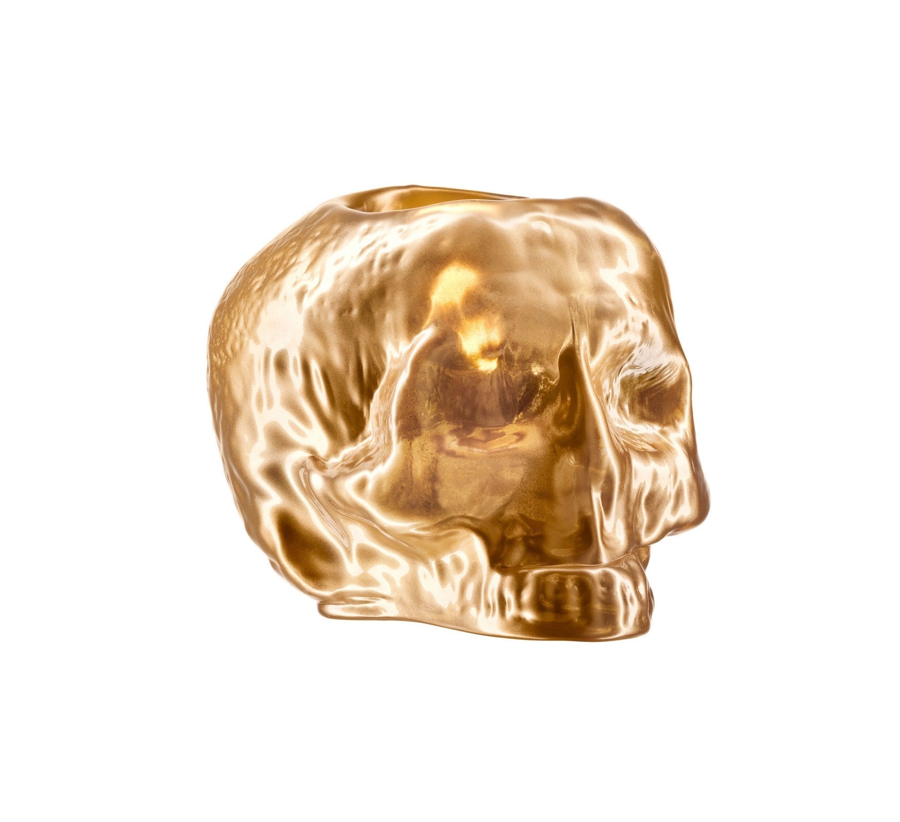  Still Life Metallic Skull - Gold - Bonton